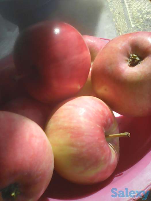 Продам пр дача 800 000 тг торг 8 сот дом летний металлич, фотография 8