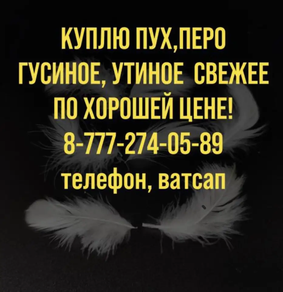 Куплю пух гусиный., фотография 1