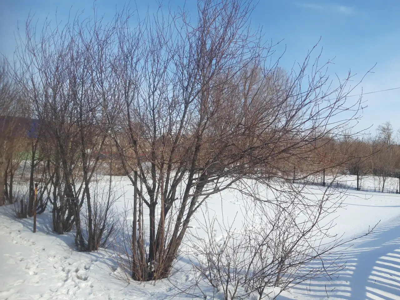 ПРОДАЖА ЗЕМЕЛЬНОГО УЧАСТКА, Сталеваро 91 кв 1, фотография 1