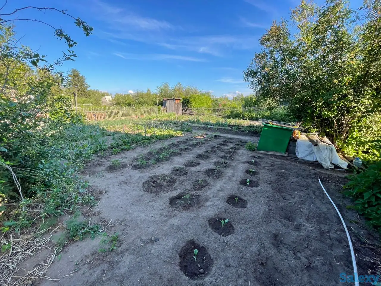 Дача. Петропавловск. Общество «Горизонт»., фотография 12