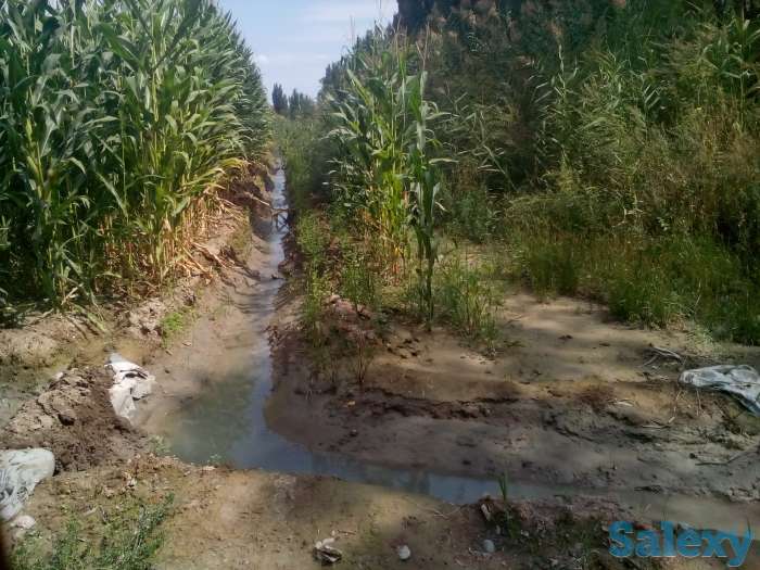 Продается участок к/х 25га, Алматинская область,Енбекшиказахский район,с.Космос., фотография 2