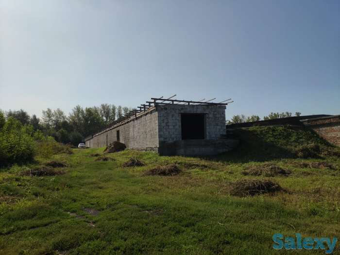 Производственная база. Овощехранилище. СДЕЛАЕМ СКИДКУ ДЛЯ РЕАЛЬНОГО ПОКУПАТЕЛЯ!, фотография 3