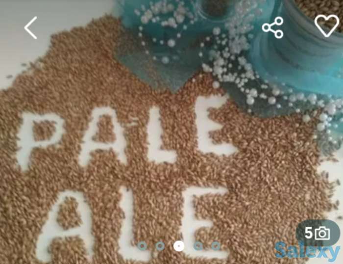 Солод, фотография 4