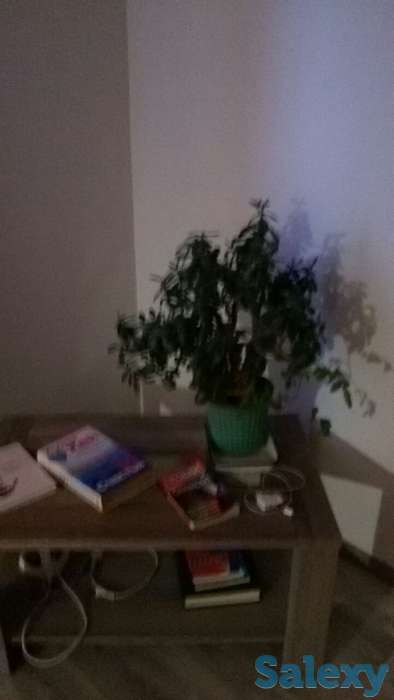 Аренда посуточно в г.Астрахань, фотография 4