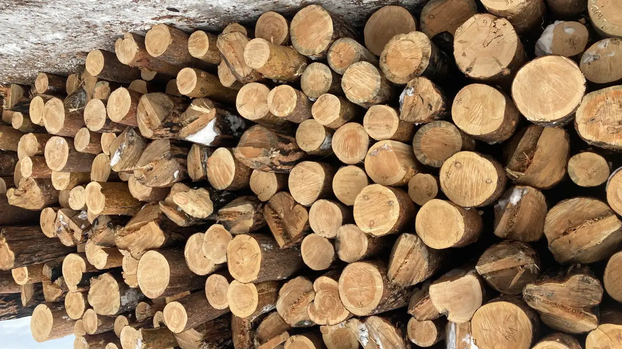 Работа на пилораме, фотография 1