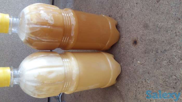 Продам мед натурыльный, фотография 1