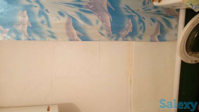 Продам 2х комнатную квартиру в пБелоусовка, фотография 2