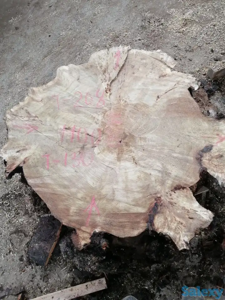 Слэбы от производителя из дуба, шпальтового бука, капового тополя, вербы, капового карагача, ясеня., фотография 9