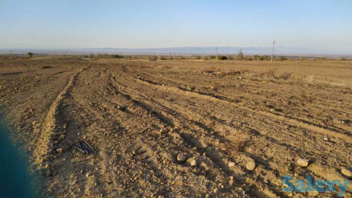 Механизированные работы. Пахота., фотография 1