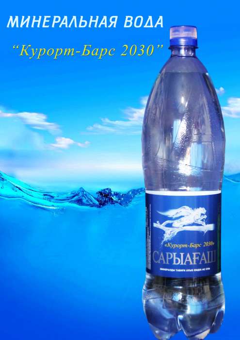 сарыагаш минеральная вода, фотография 3