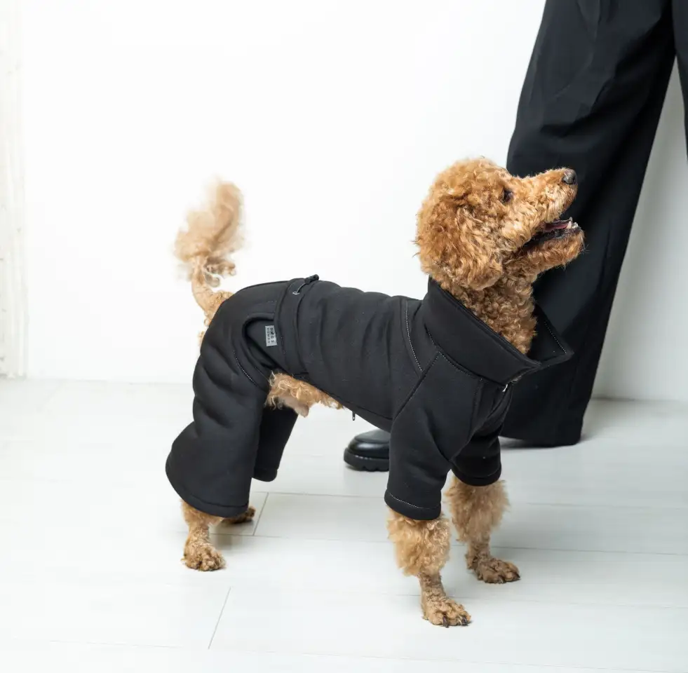 Производитель одежды и аксессуаров для животных TM Dogs Bomba приглашает к сотрудничеству, фотография 2