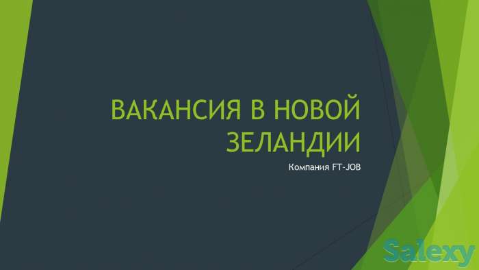 Работа за рубежом, фотография 4