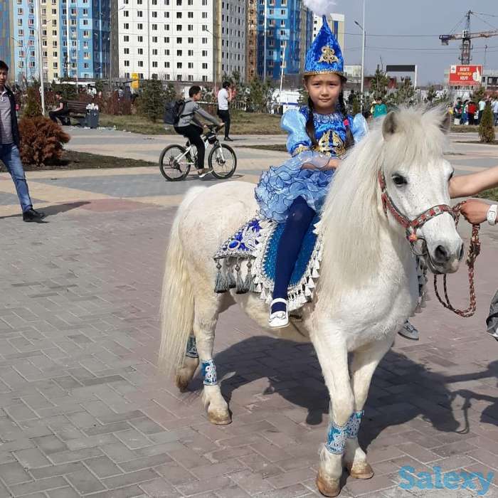 Конь белый, фотография 3