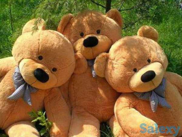 Плюшевые мишки, Мягкие игрушки. Скидки 20%! Доставка, фотография 3