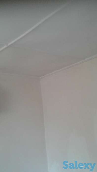 Продам дачу с тепым домом 35 м и участком 12 соток, фотография 8