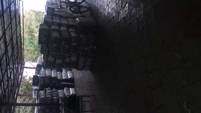 дешево оптом колготки гамажи трусы , фотография 4