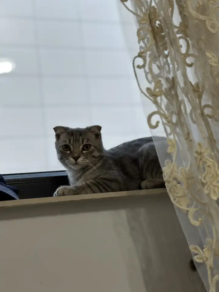 Звонить только при покупке, фотография 3