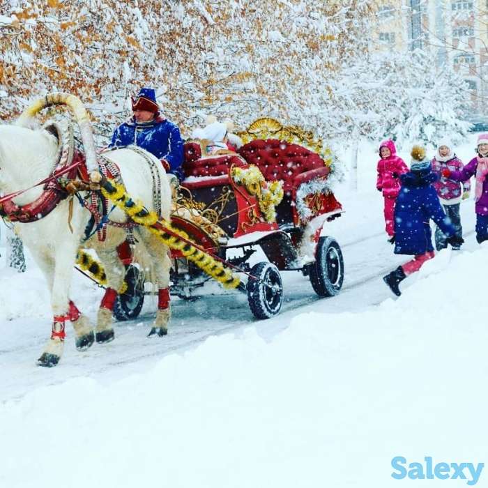 Сани. Дед Мороз на санях, фотография 2