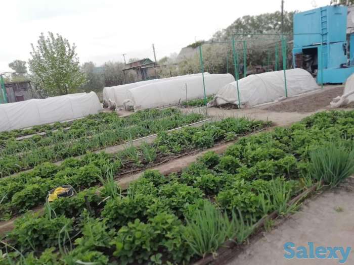 Дача 6 соток. Бобровка 4е дачи, фотография 3