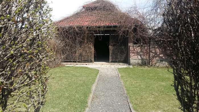 Продам дос, Багоношил, фотография 7