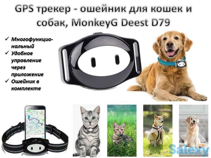Продам GPS трекер - ошейник для кошек и собак, MonkeyG Deest D79, фотография 1