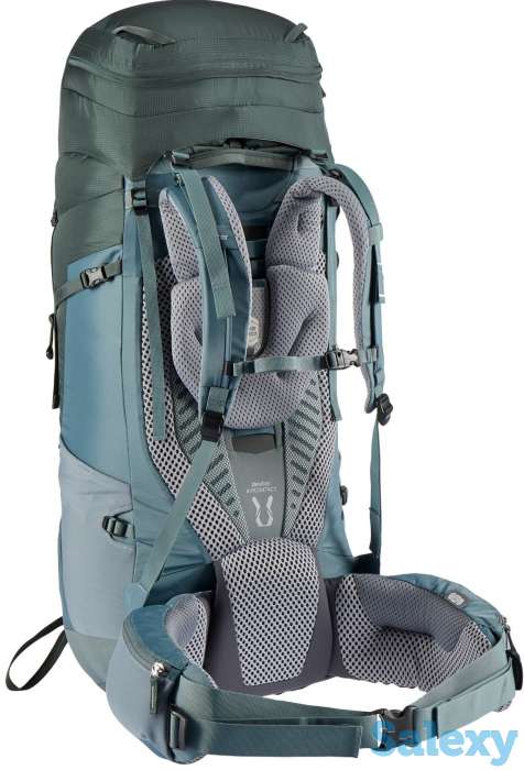 Рюкзак deuter aircontact 65+10 ivy/teal, фотография 4