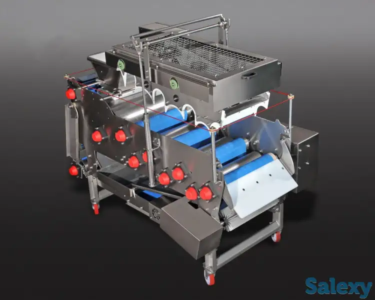 Ленточные пресса для фруктов разной производительности, фотография 1