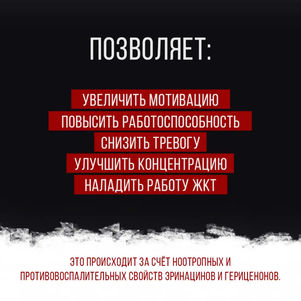 Ежовик гребенчатый, фотография 2