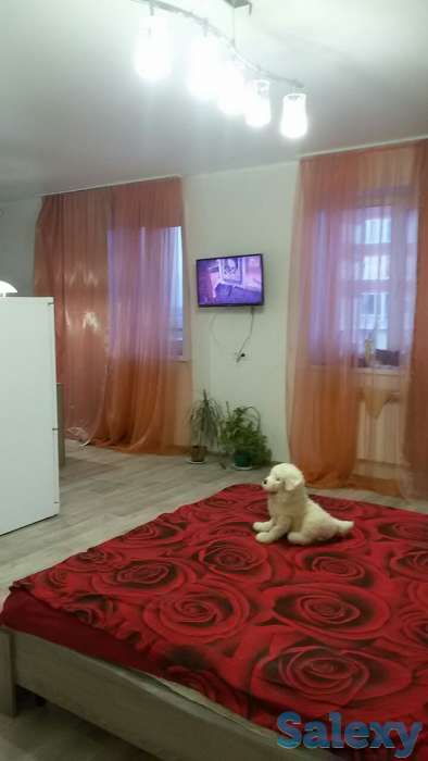 Аренда посуточно в г.Астрахань, фотография 6