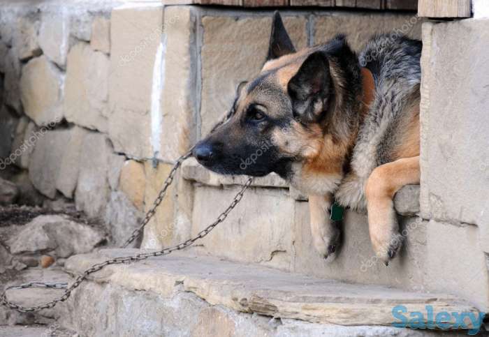 требуется сторож, фотография 1