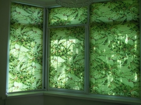 Ролл-торы, фотография 1