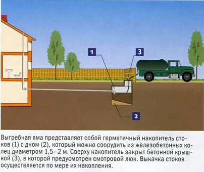 ассинизаторские услуги, фотография 3