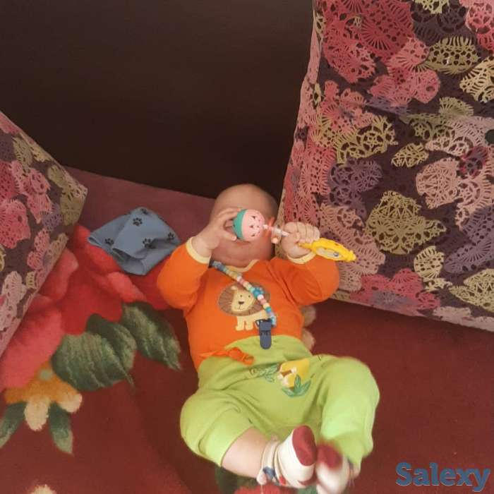 Прошу помочь пожалуйста, фотография 1