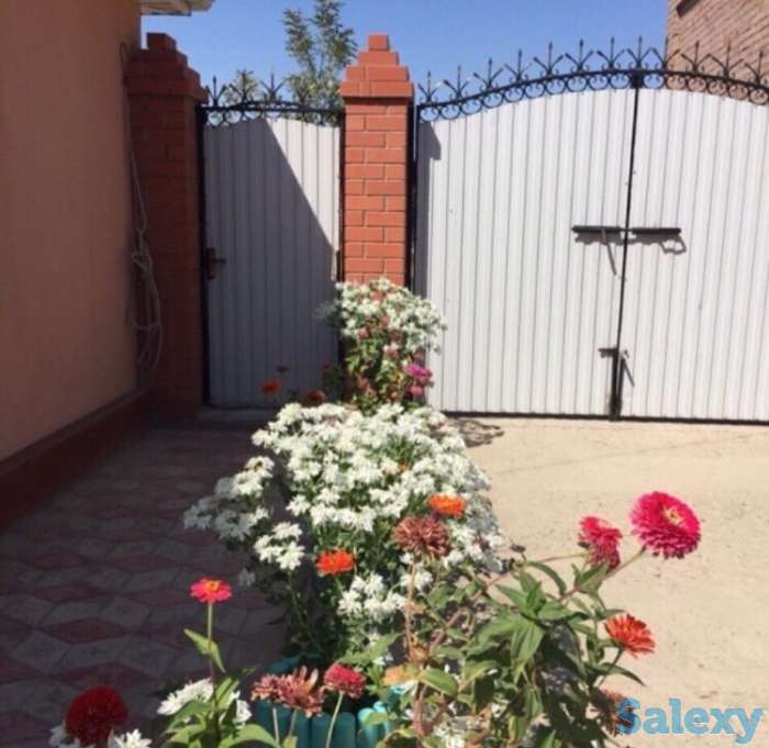 Светлана, фотография 4