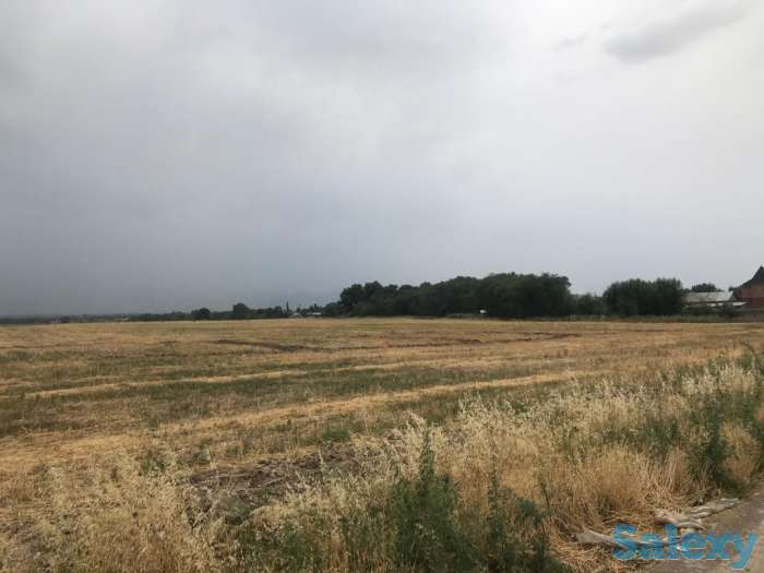 Продам землю 53 га!, район, Панфиловский сельский округ, фотография 3