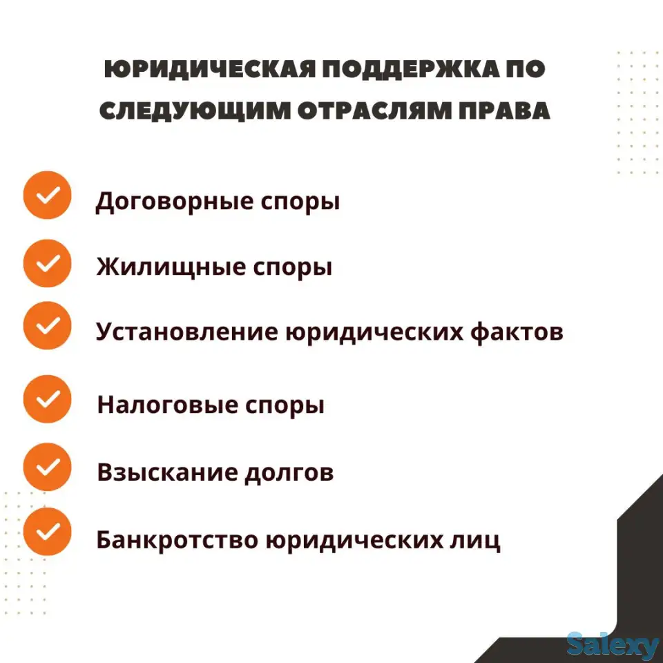 Адвокат по гражданским, уголовным и административным делам, фотография 5