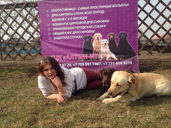 Дрессировка собак выезд на дом, фотография 2