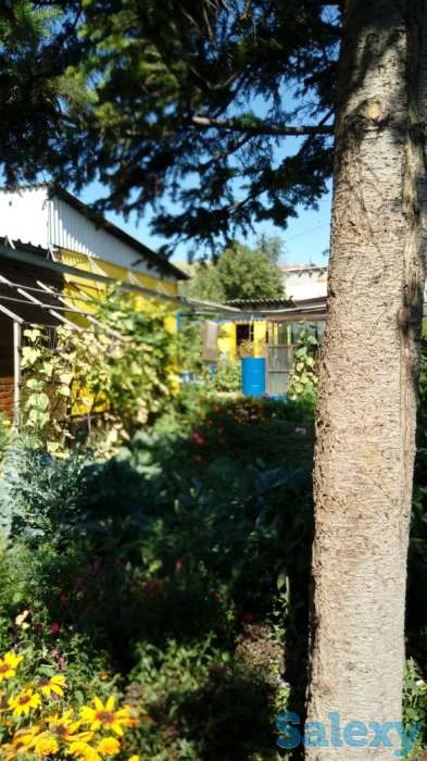 Продам дом на Опытном поле, фотография 3