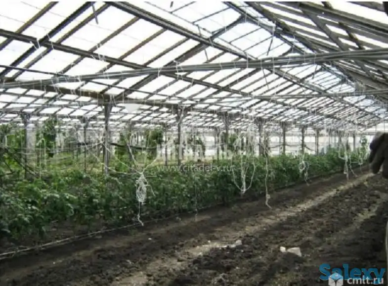 Теплица под ключ, фотография 1