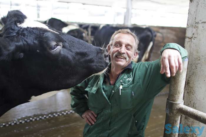 Доряы/скотники ВАХТА в Краснодарский край, фотография 1