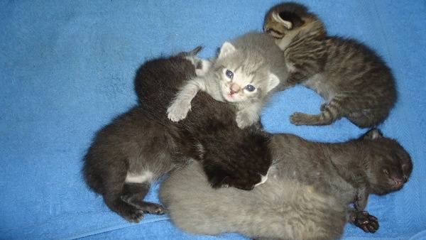 Доверимся в надежные руки!, фотография 4