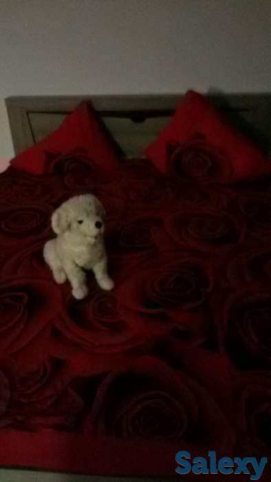 Аренда посуточно в г.Астрахань, фотография 2