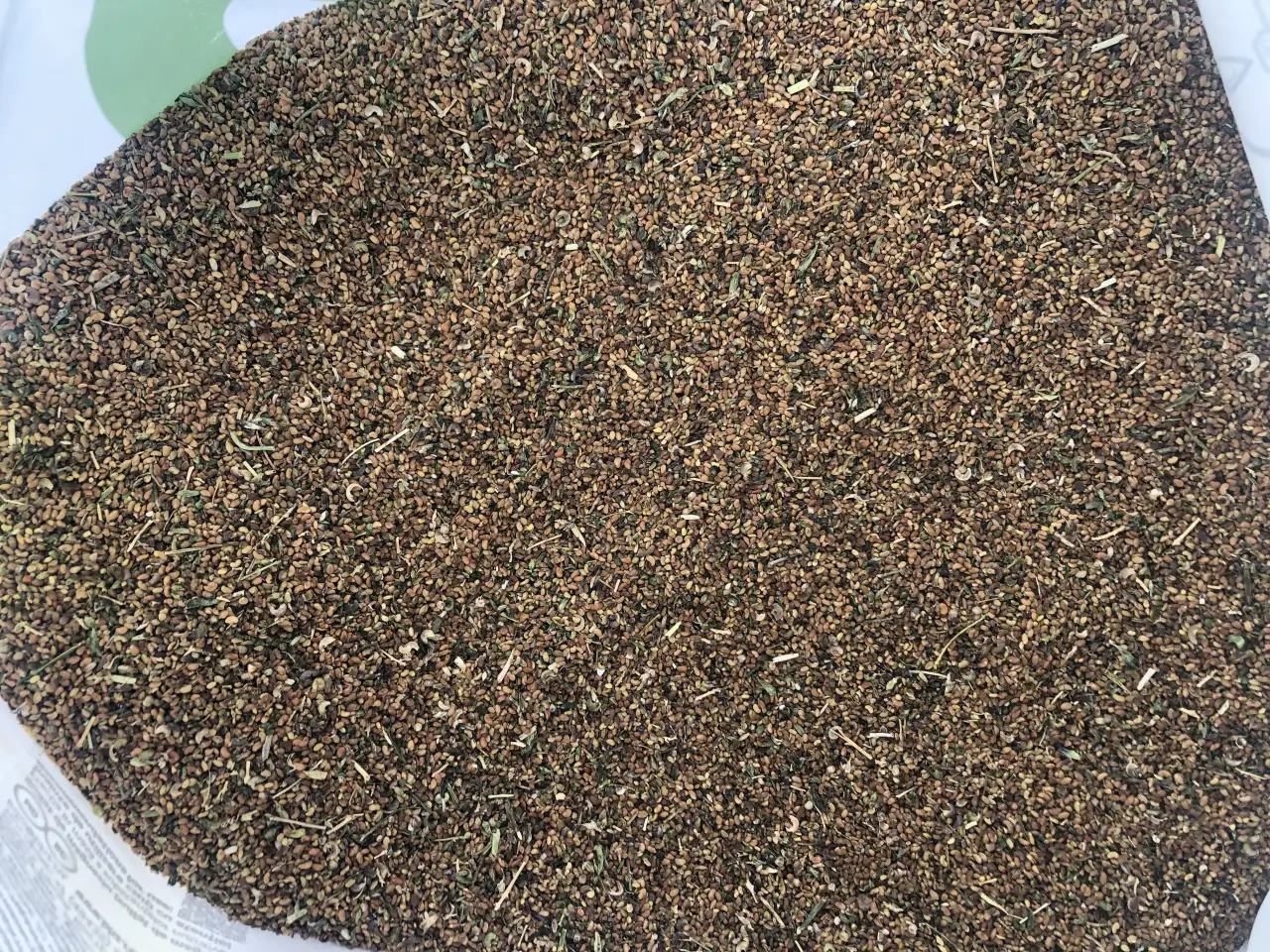 Продаю Семена Люцерны Меркенский район, фотография 7