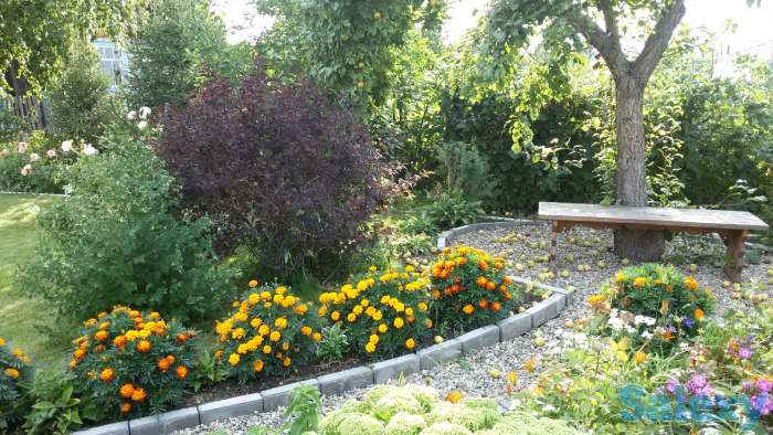 Продам дачу с хорошим дизайном, 10 сот, в р-не телевышки в с/о 