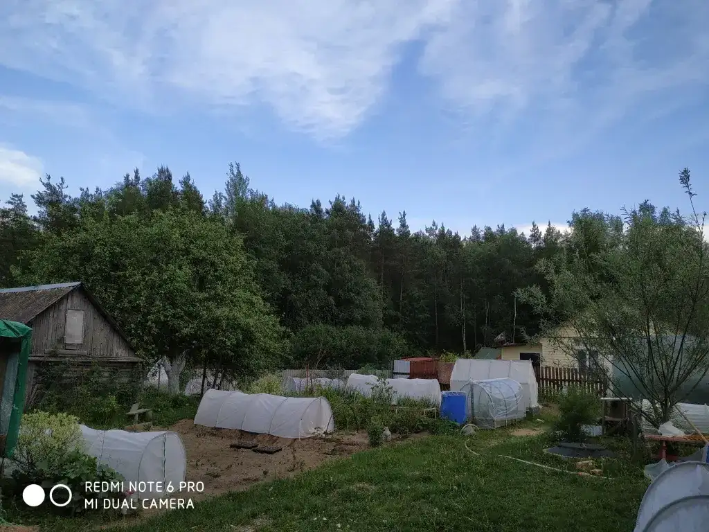 Добротный дом в 2,5 часах от Питера, Псковская обл,пос.гор.типа Струги Красные, фотография 5