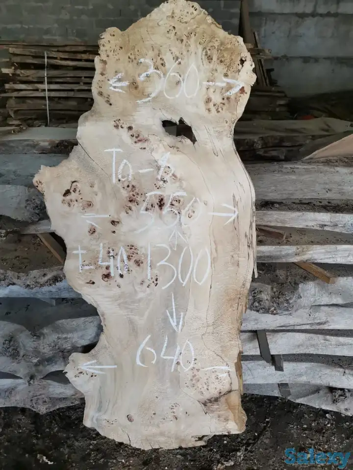 Слэбы от производителя из дуба, шпальтового бука, капового тополя, вербы, капового карагача, ясеня., фотография 14