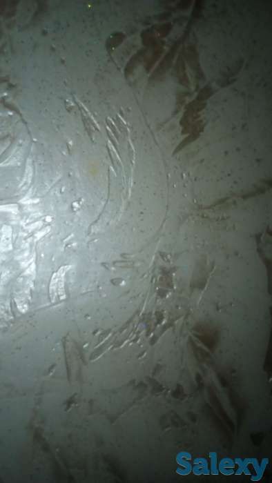 Леонардо, фотография 1