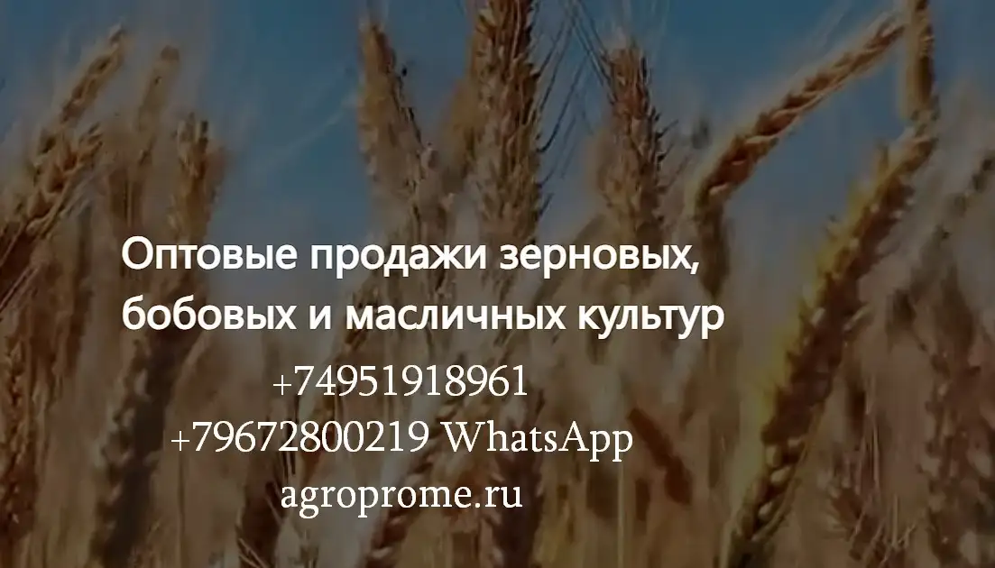 ООО Агропром - оптовая реализация продуктов питания экспорт, фотография 1