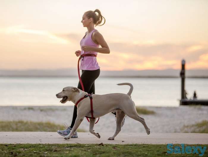 Выгул собак все пород, возрастов и размеров., фотография 1