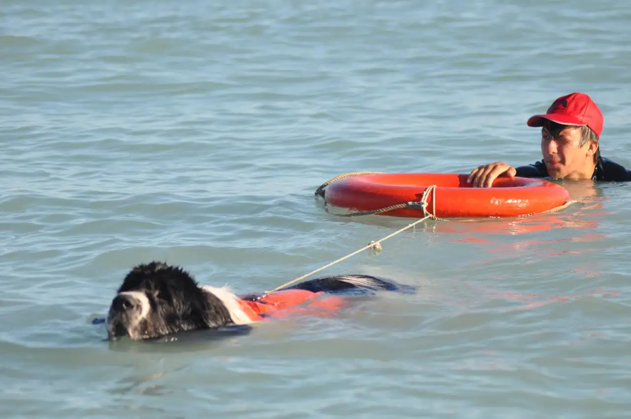 Семинар по службе спасения на водах, фотография 2